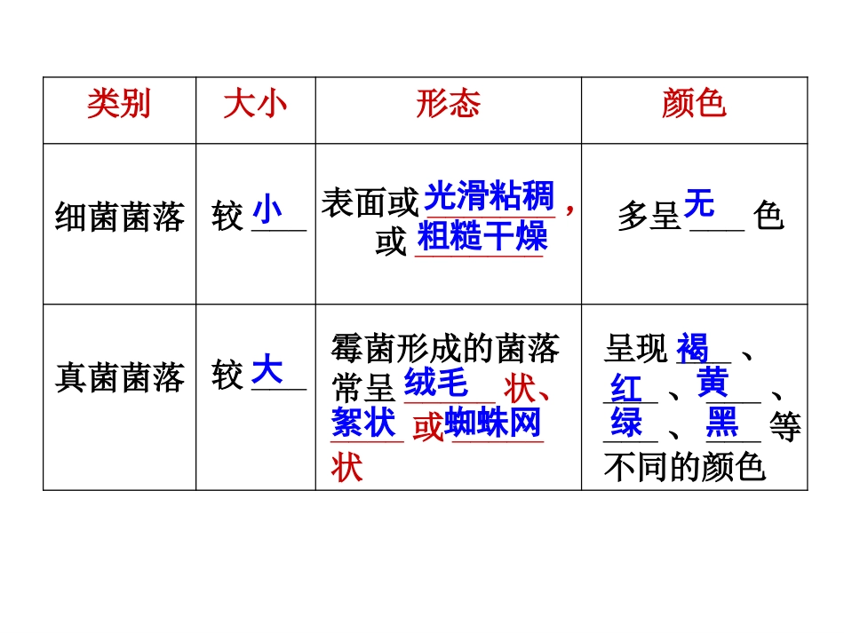 细菌、真菌、病毒复习[35页]_第3页