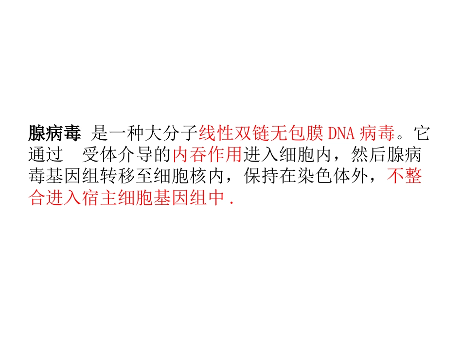 腺病毒载体构建[11页]_第3页