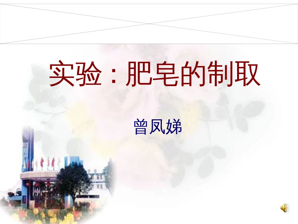 肥皂的制取(共页)_第1页