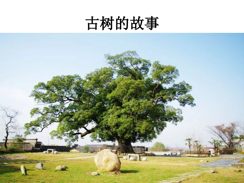 可持续发展 生态文明  ChinaEdu_第2页