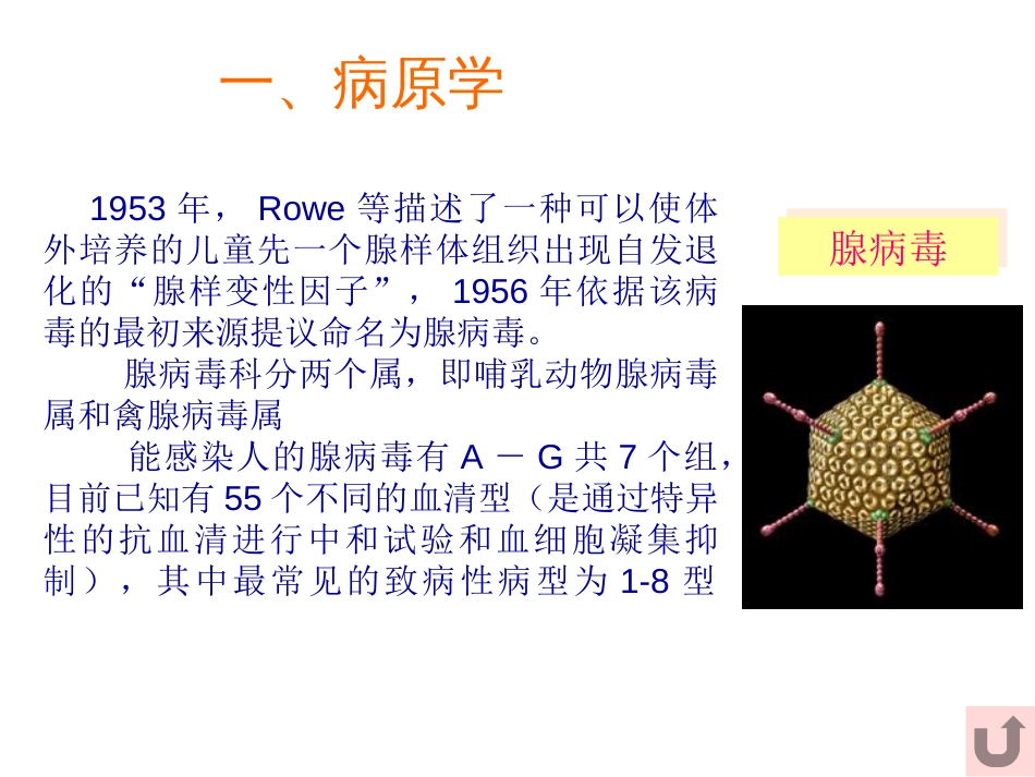 腺病毒肺炎讲课[39页]_第3页