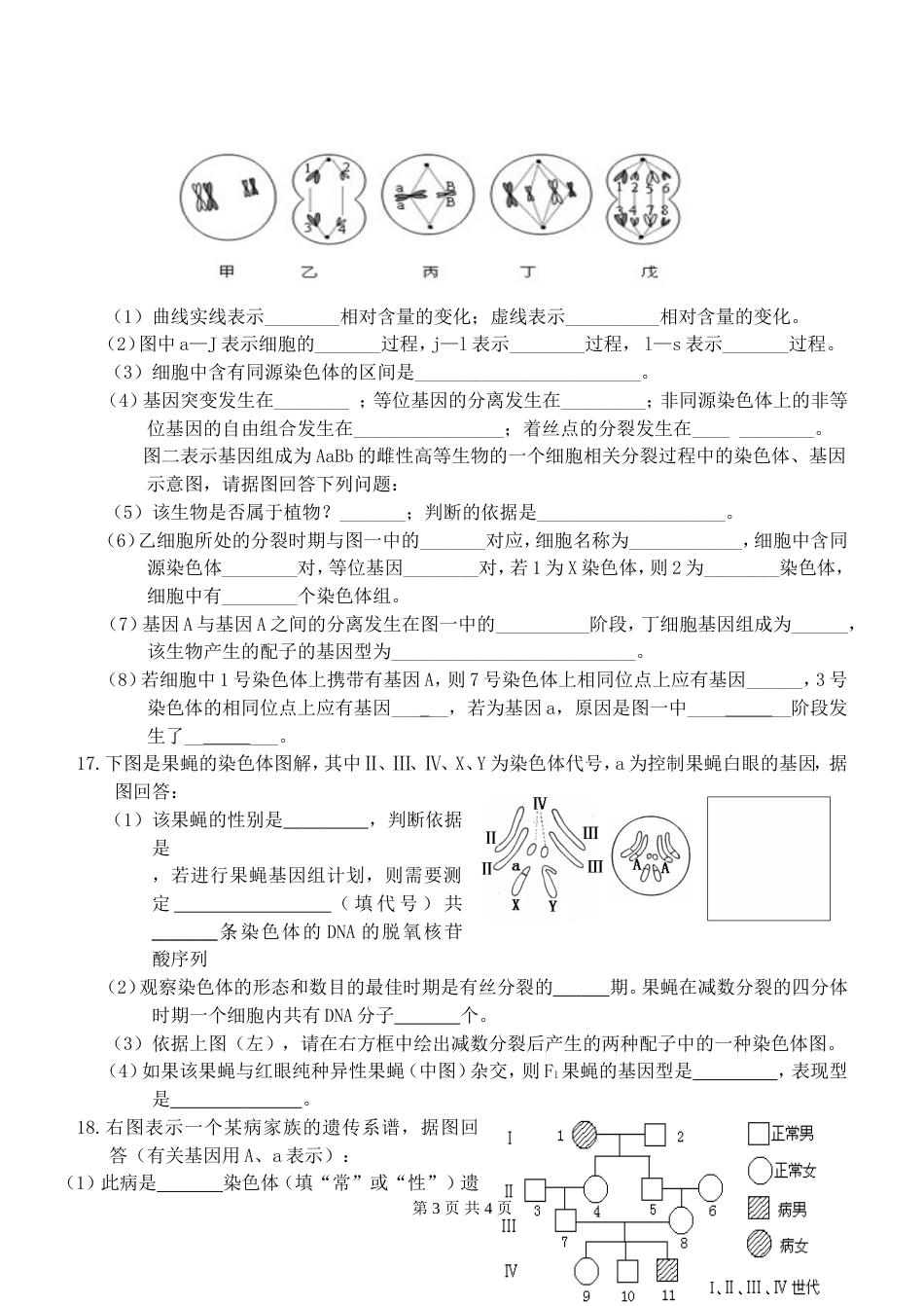 高中生物必修二第二章检测题_第3页