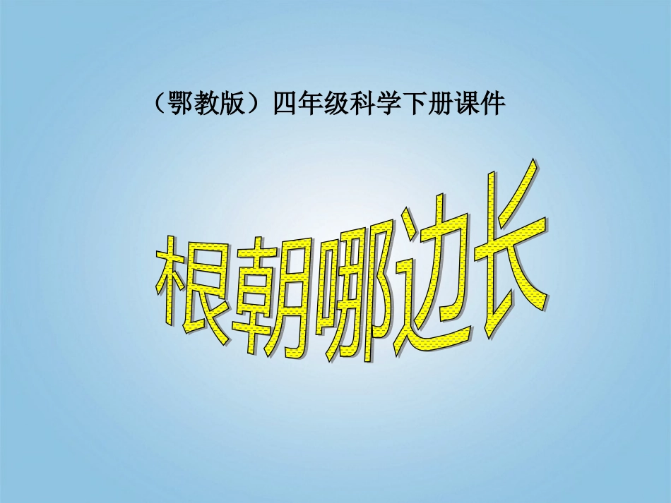 鄂教版四年级科学下册课件根朝哪边长_第1页