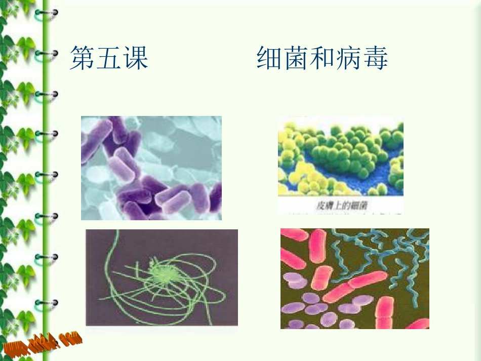 小学科学细菌和病毒[28页]_第1页