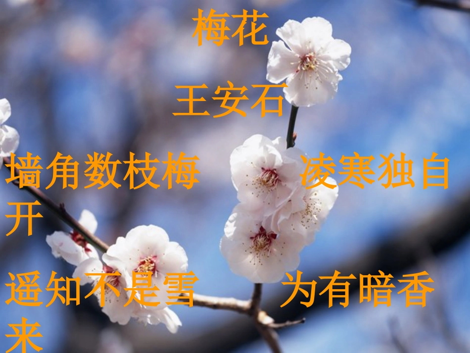 《游褒禅山记》PPT课件(共51页)_第2页
