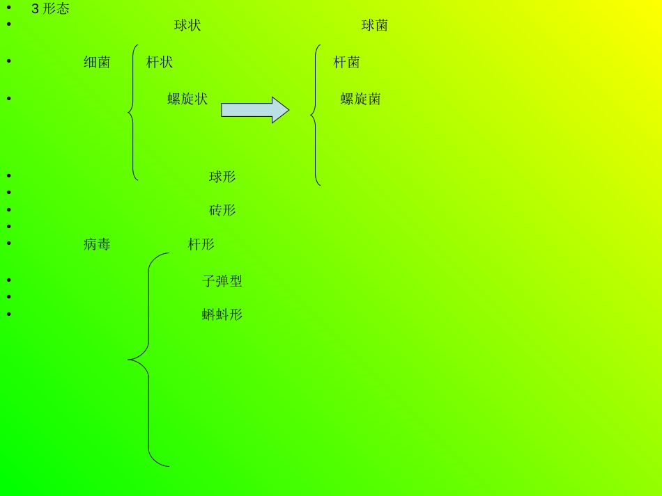 细菌与病毒的相同点与不同点[11页]_第3页