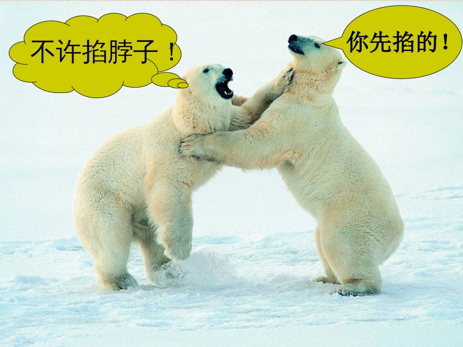 《动物游戏之谜》公开课获奖课件_第3页