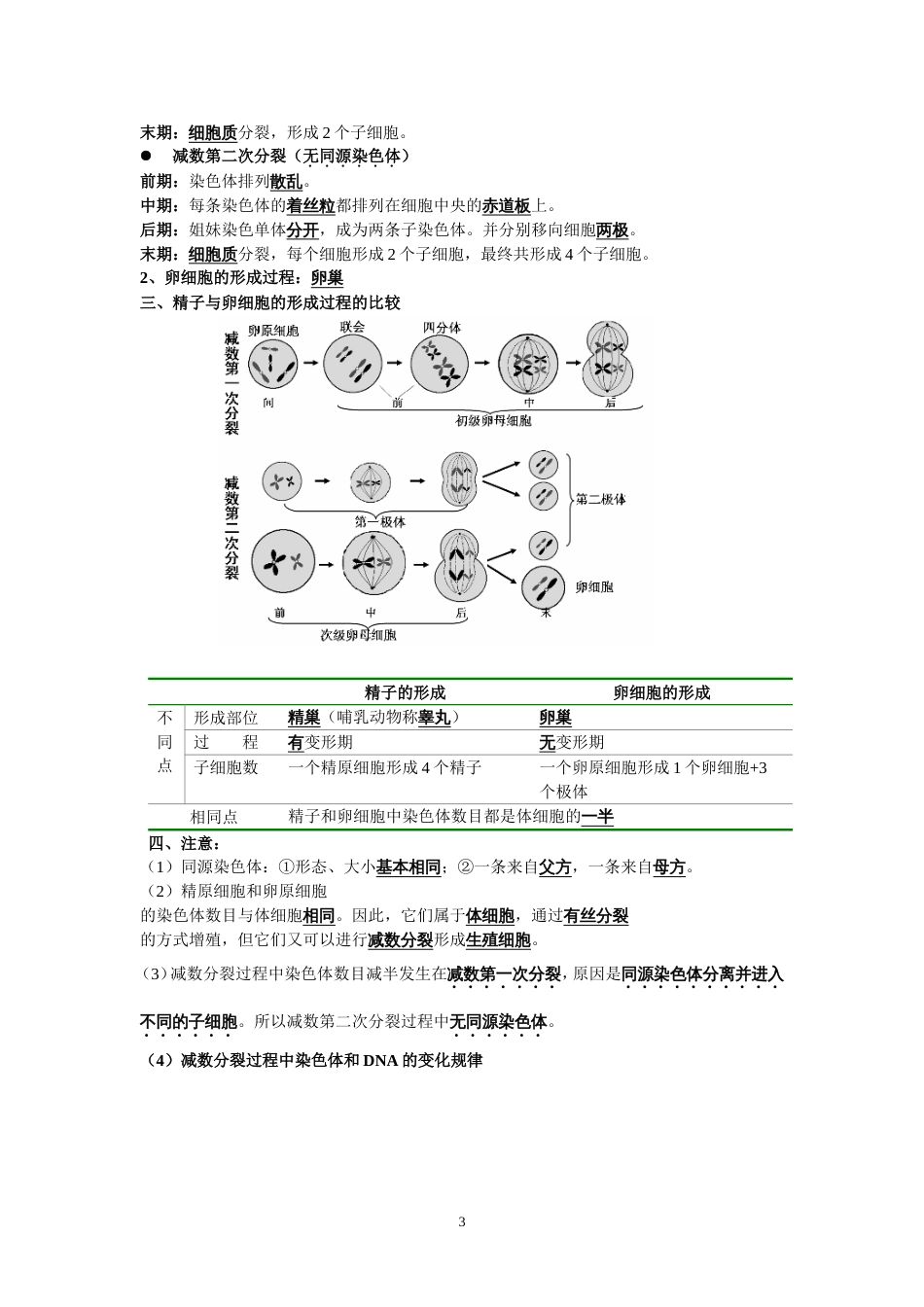 高中生物必修二知识点总结最全版_第3页