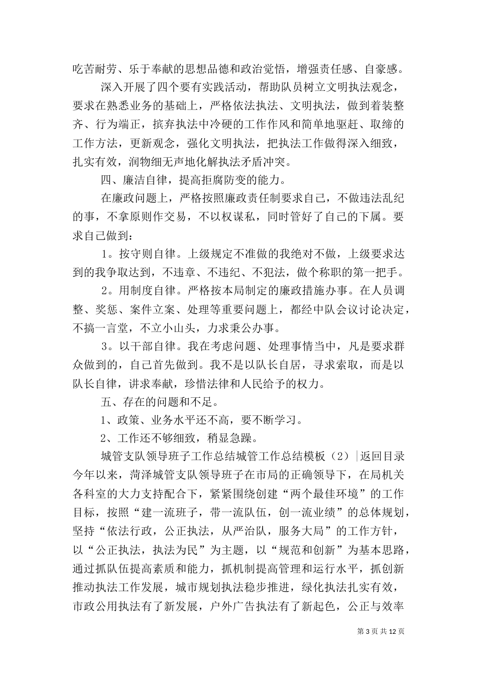 城管工作总结模板4篇_第3页