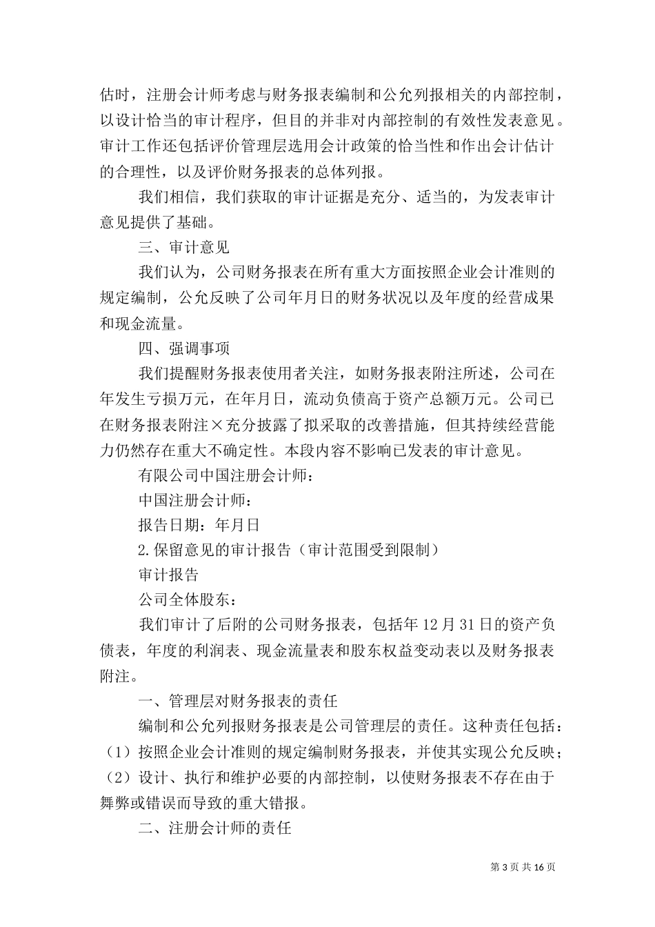 审计报告范例1_第3页