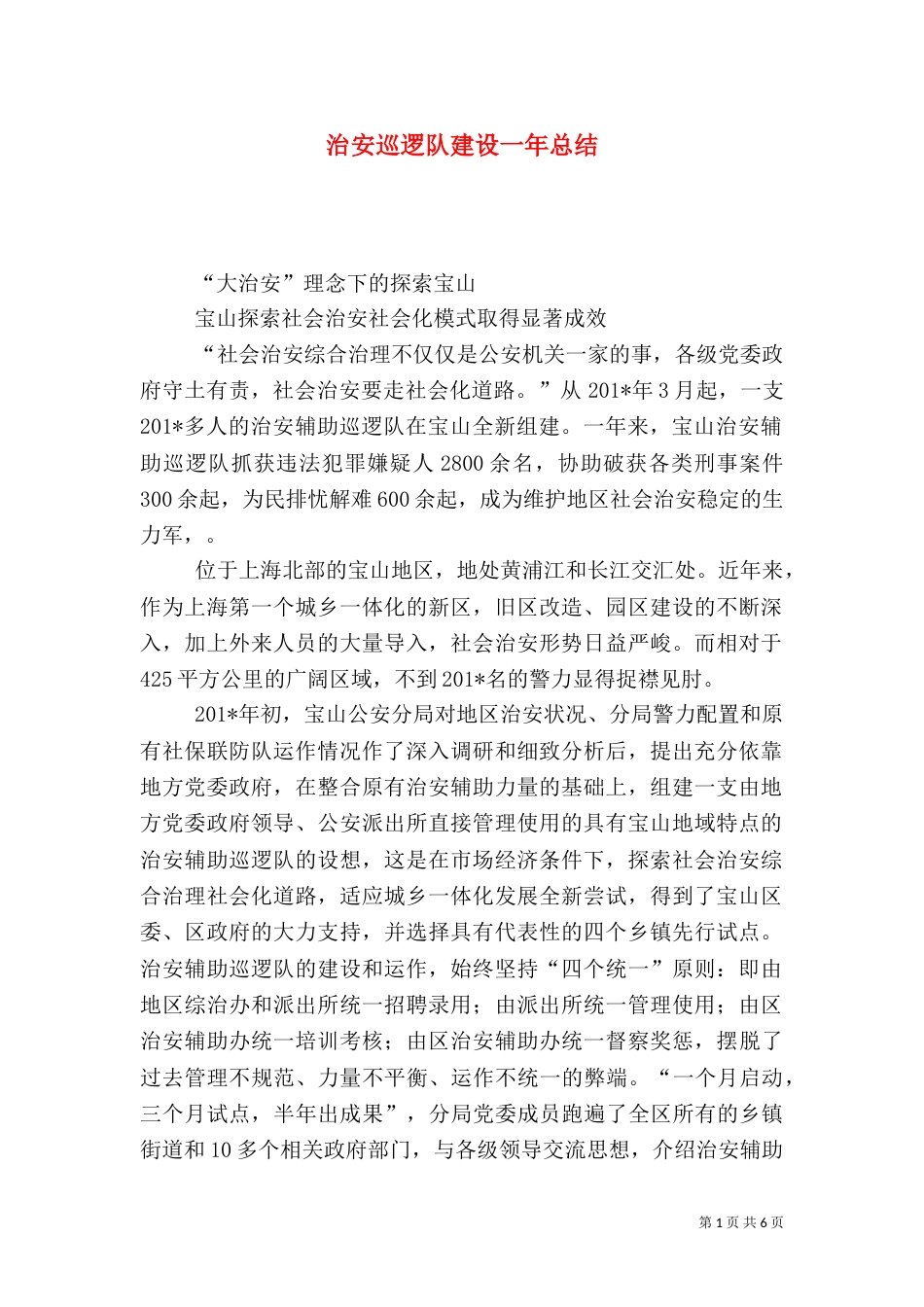 治安巡逻队建设一年总结_第1页