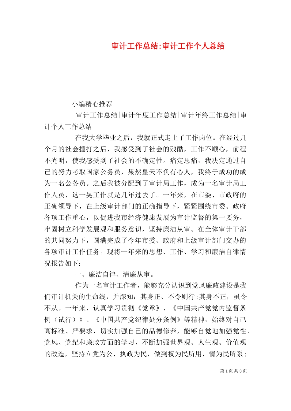 审计工作总结-审计工作个人总结_第1页