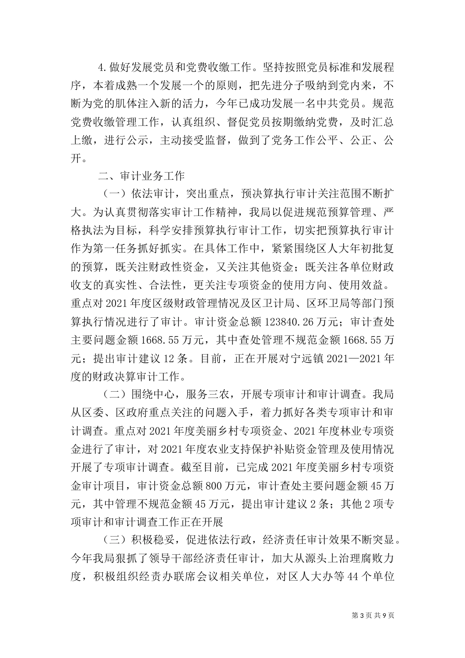 审计局2021年度工作总结（一）_第3页