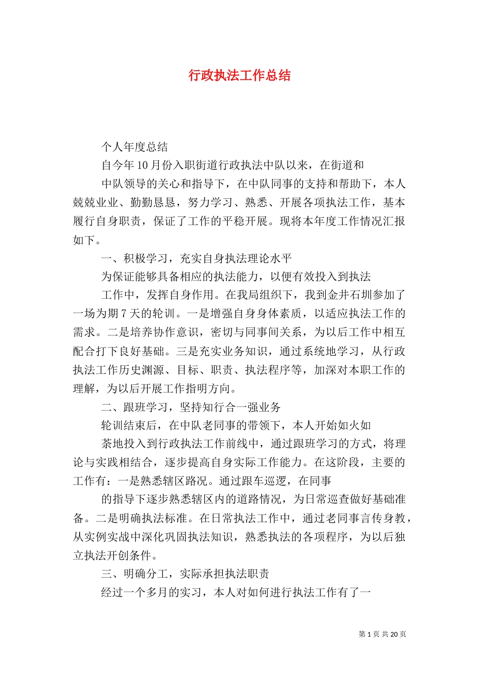 行政执法工作总结（十）_第1页