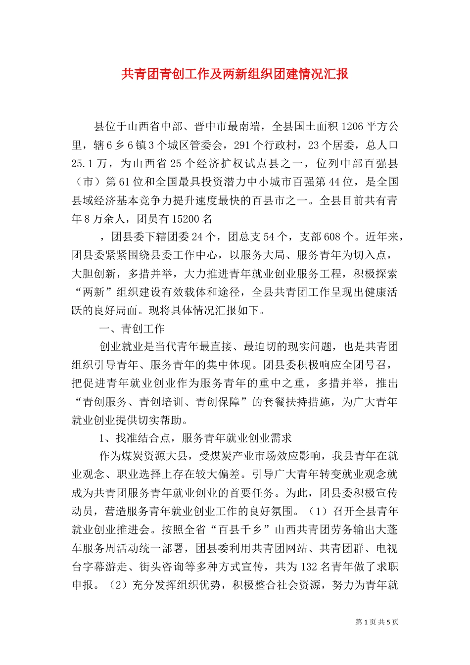 共青团青创工作及两新组织团建情况汇报（三）_第1页