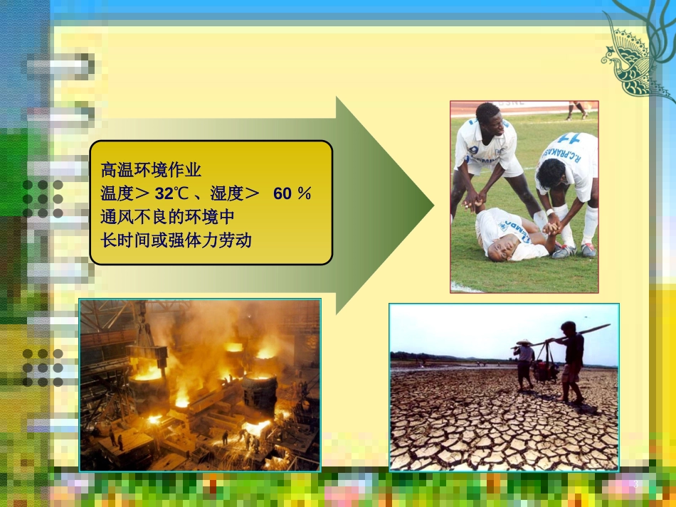 中暑课件--PPT[共52页]_第3页