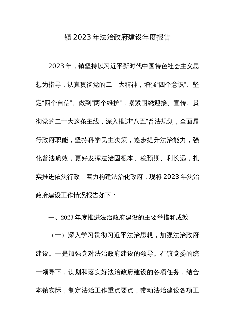 2023年法治政府建设年度报告范文_第1页