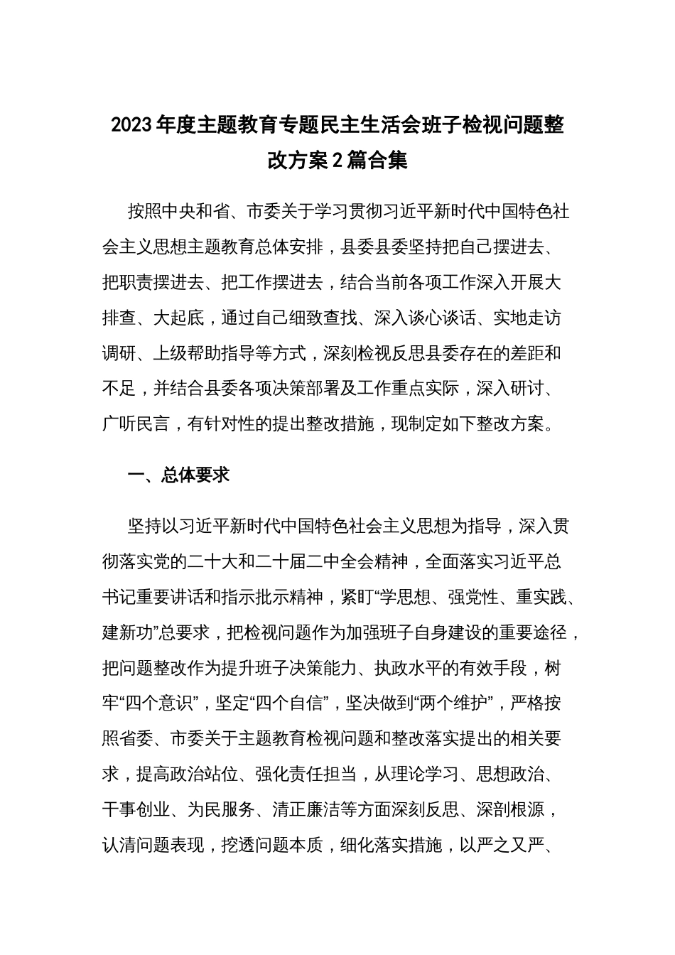2023年度主题教育专题班子检视问题整改方案2篇合集_第1页