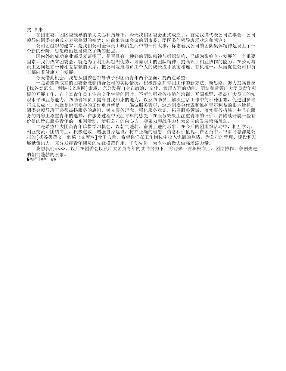 公司团委成立领导发言稿共页共页_第1页