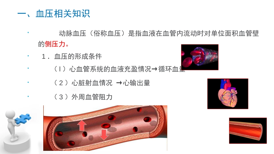 异常血压的评估及护理[共42页]_第3页