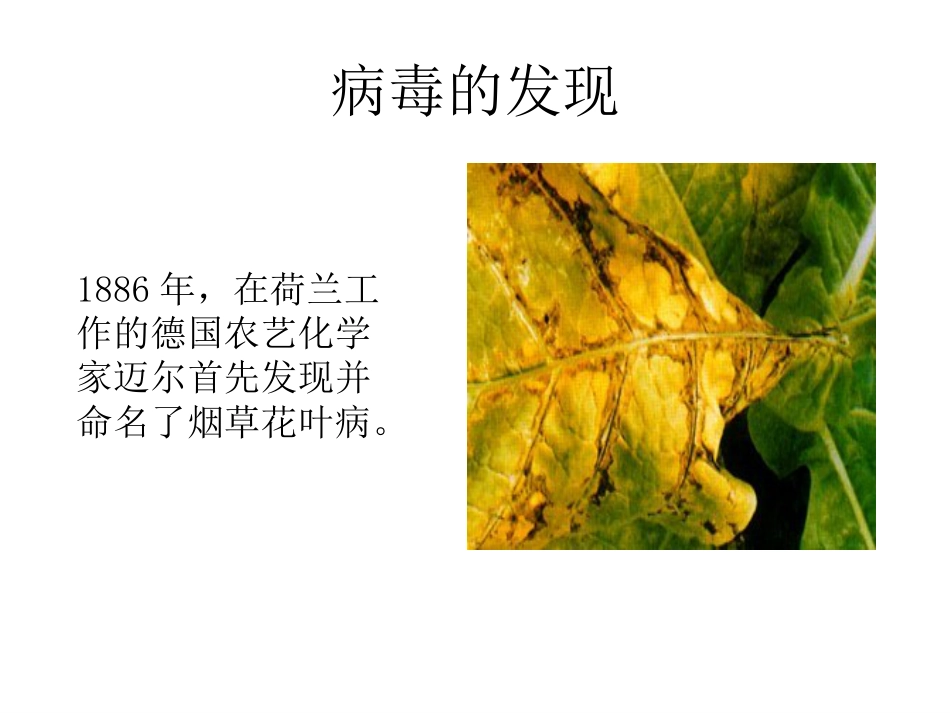 非细胞形态的生物—病毒(共34页)_第3页