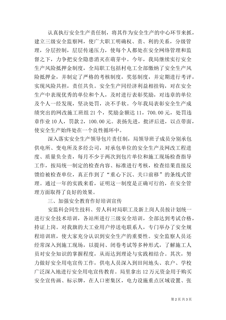 农电局年度安全总结 -年终总结_第2页