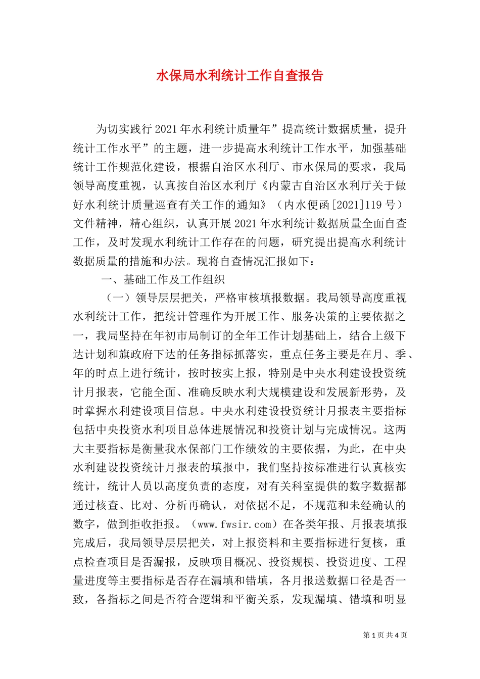 水保局水利统计工作自查报告_第1页