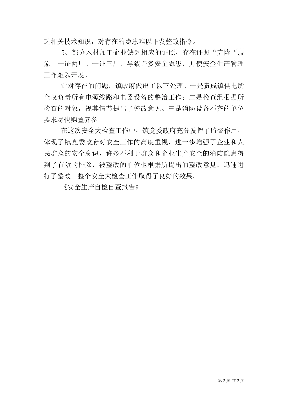 安全生产自检自查报告（二）_第3页