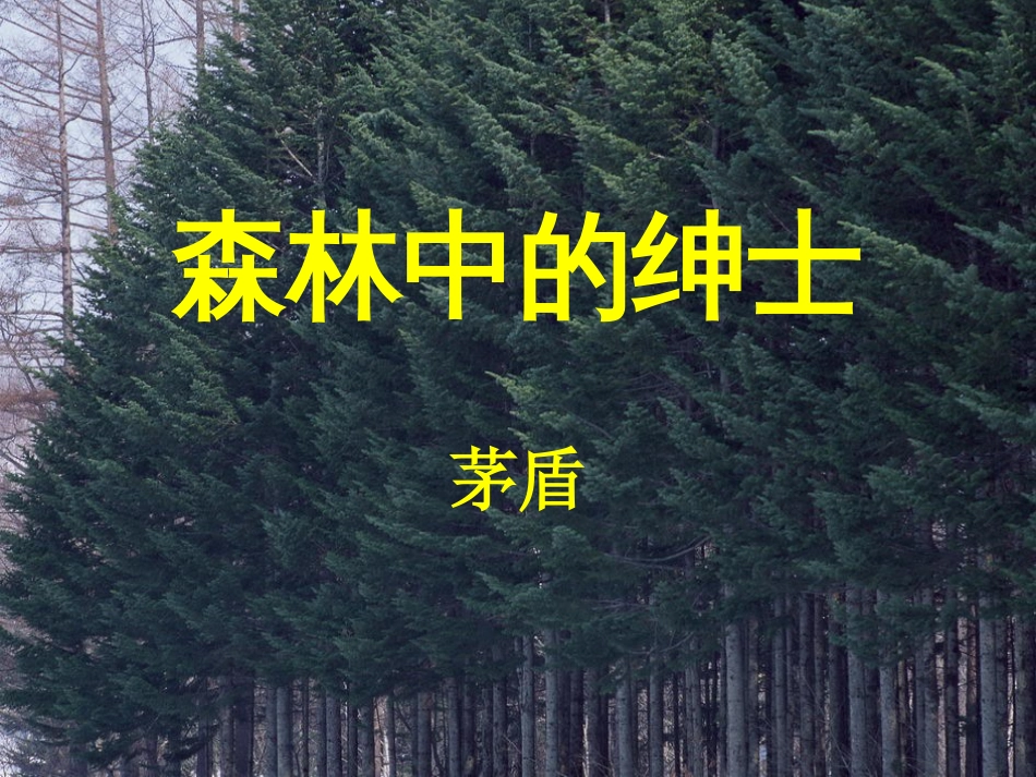 《森林中的绅士》PPT课件_第1页