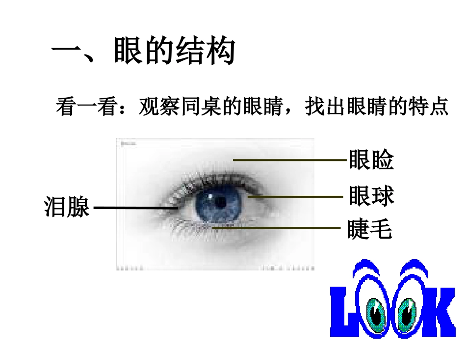 《感受器和感觉器官》ppt课件_第2页