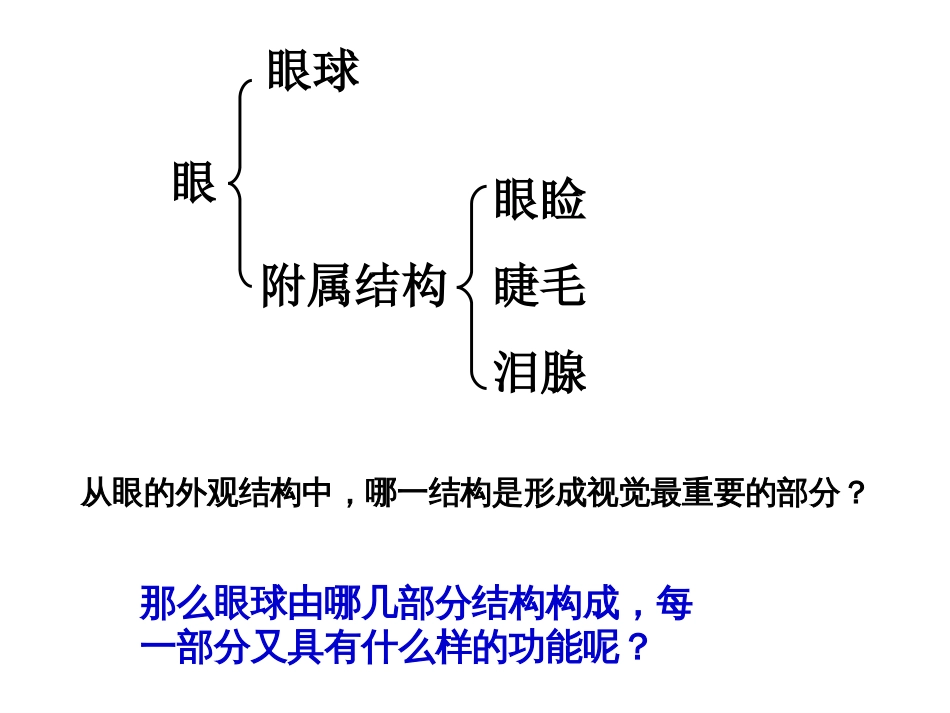 《感受器和感觉器官》ppt课件_第3页