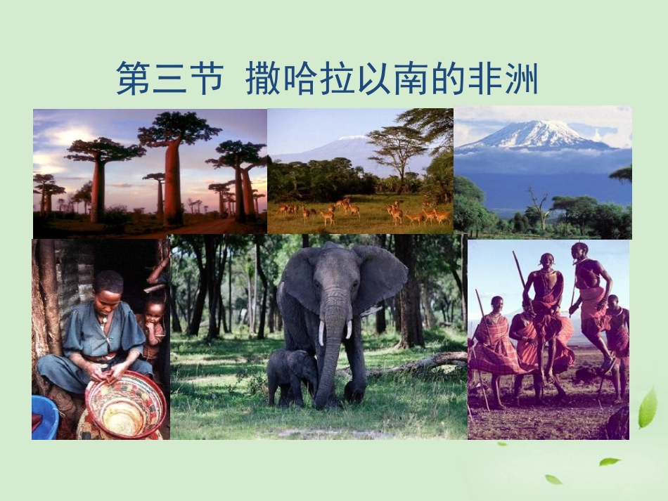 《第三节撒哈拉以南的非洲》课件_第1页