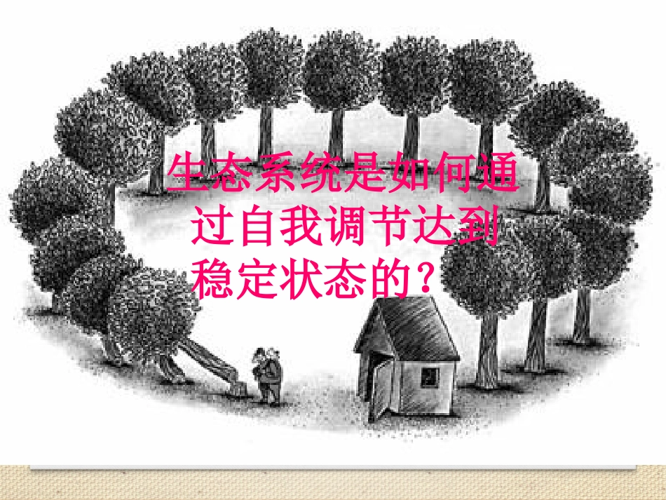 《生态系统的稳定性》课件_第3页