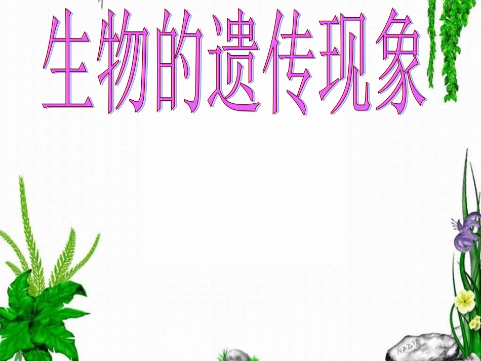 《生物的遗传现象》(共36页)_第1页