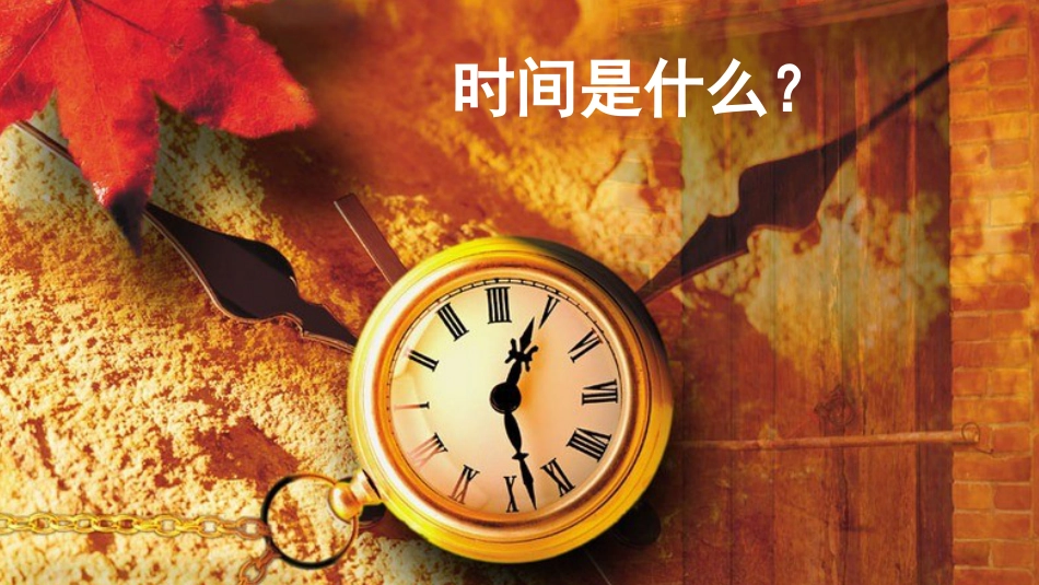 《时间的脚印》ppt示范课件(共46页)_第1页