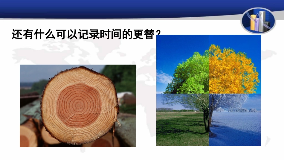 《时间的脚印》ppt示范课件(共46页)_第3页