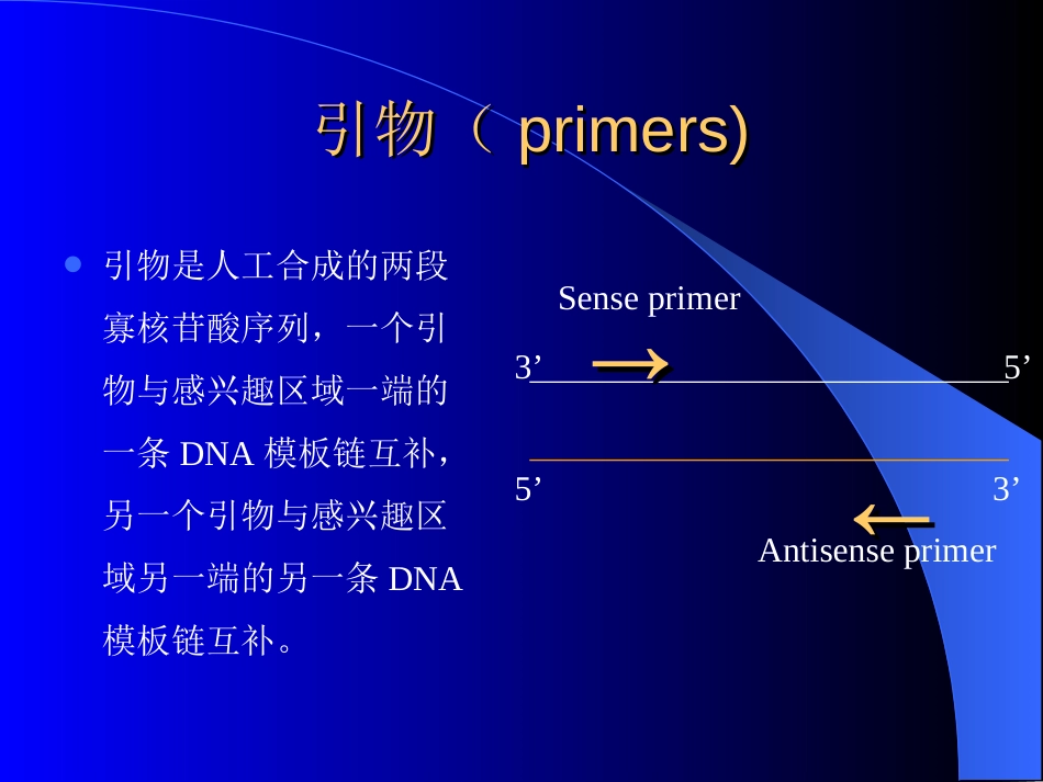 PCR引物设计原则（共17页）_第2页