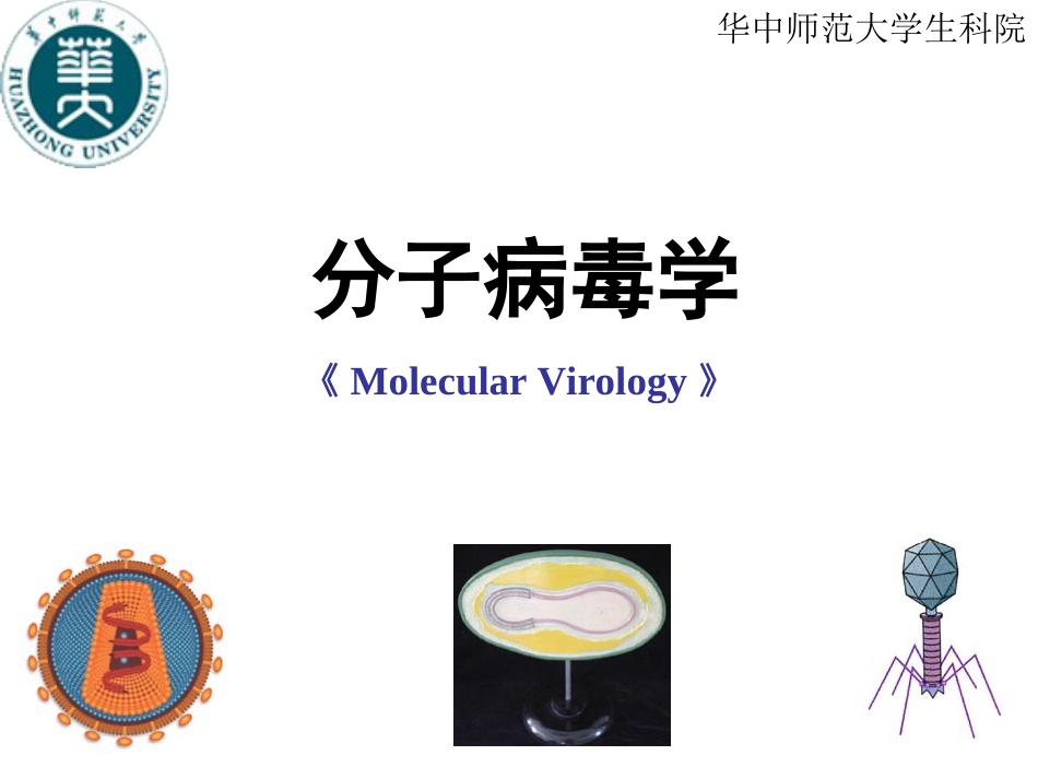 分子病毒学第l六章病毒装配成熟释放(共页)_第1页