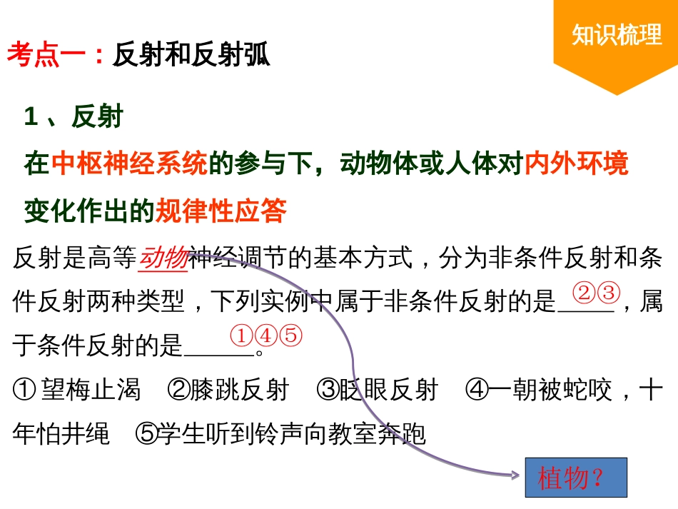 公开课——通过神经系统的调节一轮复习共68页共68页_第3页