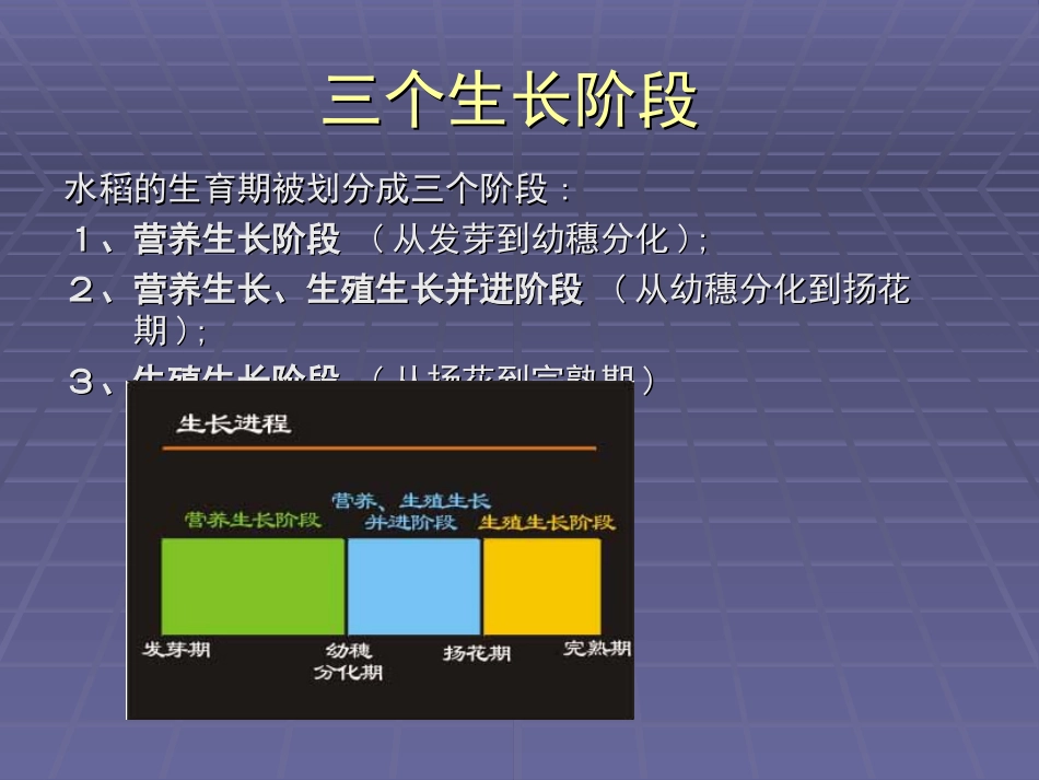 国家水稻研究中心划分的水稻生育期共34页_第3页