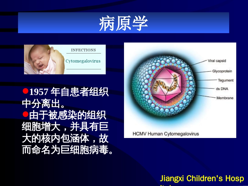 巨细胞病毒[49页]_第2页