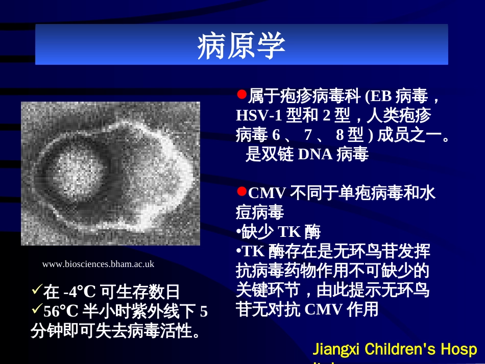 巨细胞病毒[49页]_第3页