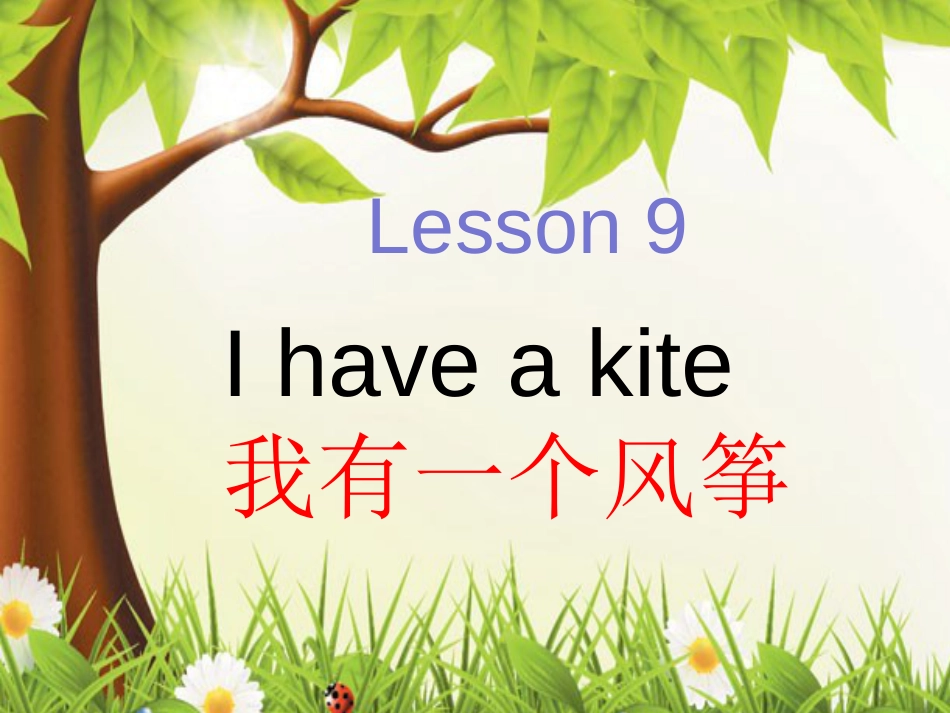 科普版三年级下册英语Lesson9Ihaveakite_第1页