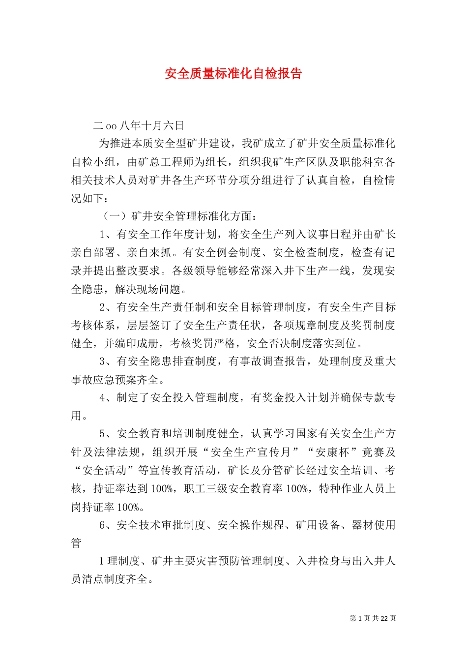 安全质量标准化自检报告_第1页