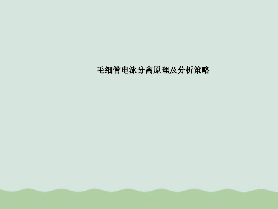 毛细管电泳分离原理及分析策略教材PPT80页_第1页