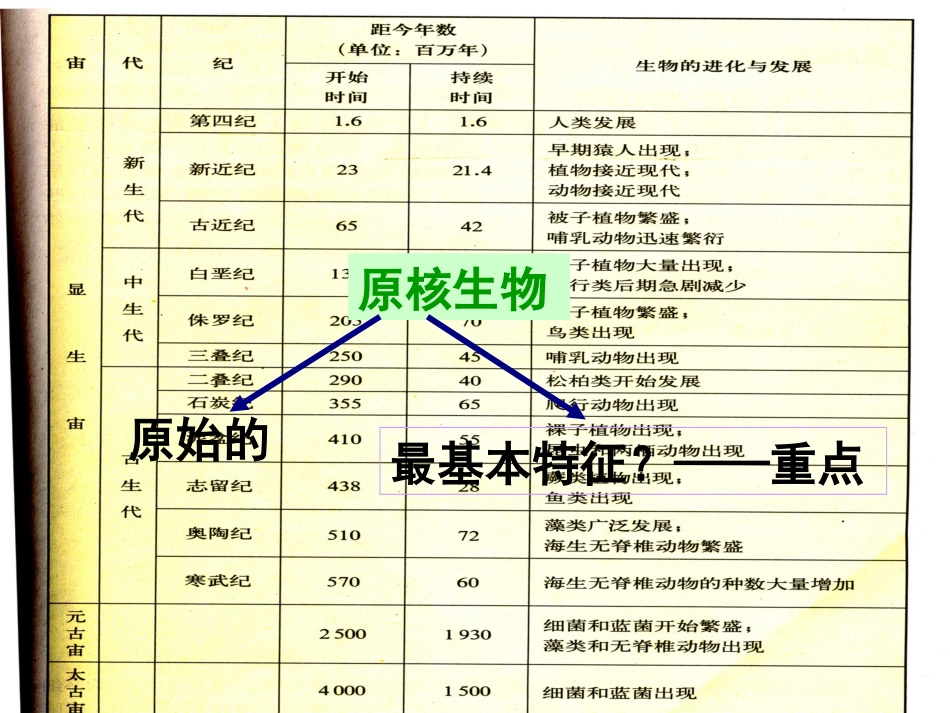 细菌、真菌和病毒[66页]_第3页