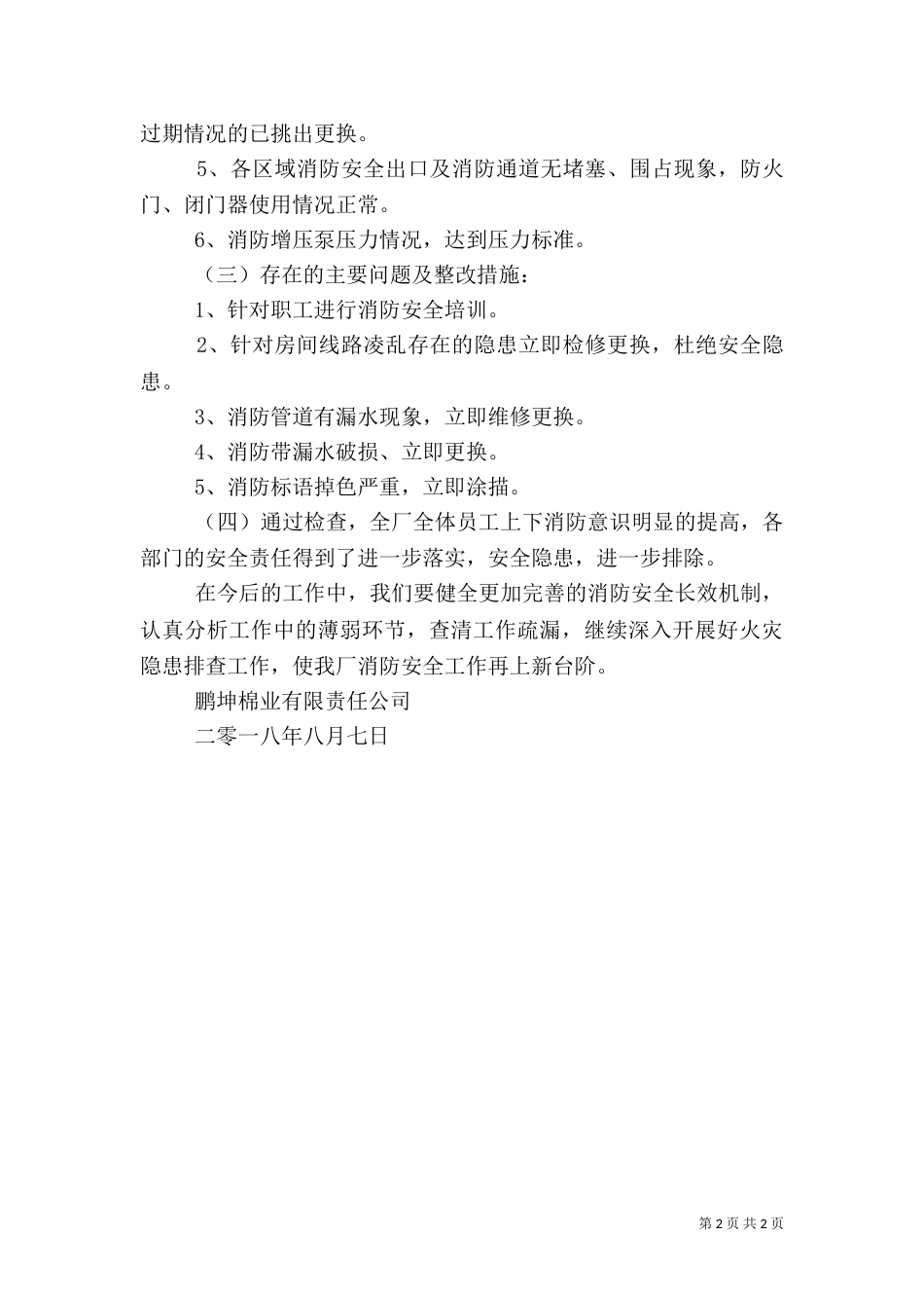 消防安全专项自检自查报告（一）_第2页