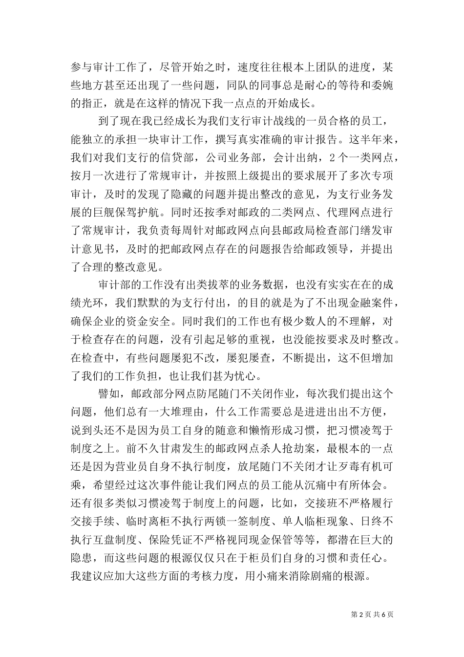 最新审计员2021年度工作总结模板_第2页