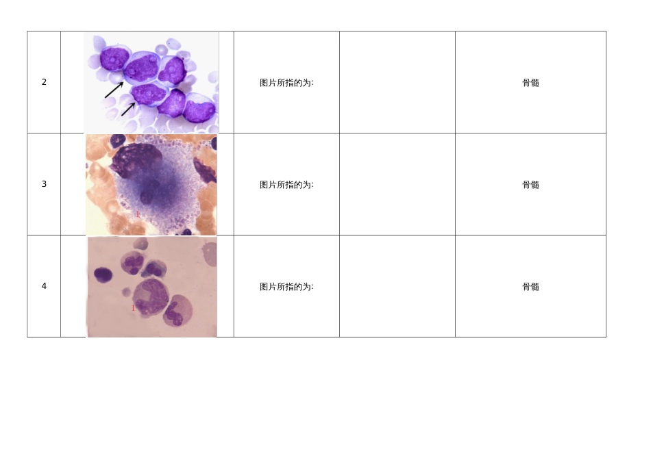 （全国职业技能比赛：高职）GZ041检验检疫技术赛项赛题库(形态学600题）_第2页