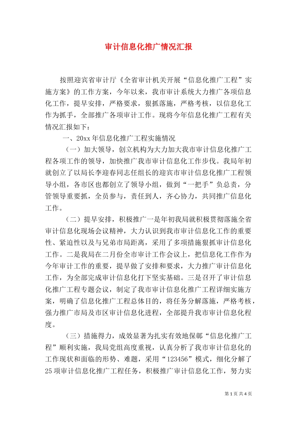 审计信息化推广情况汇报_第1页